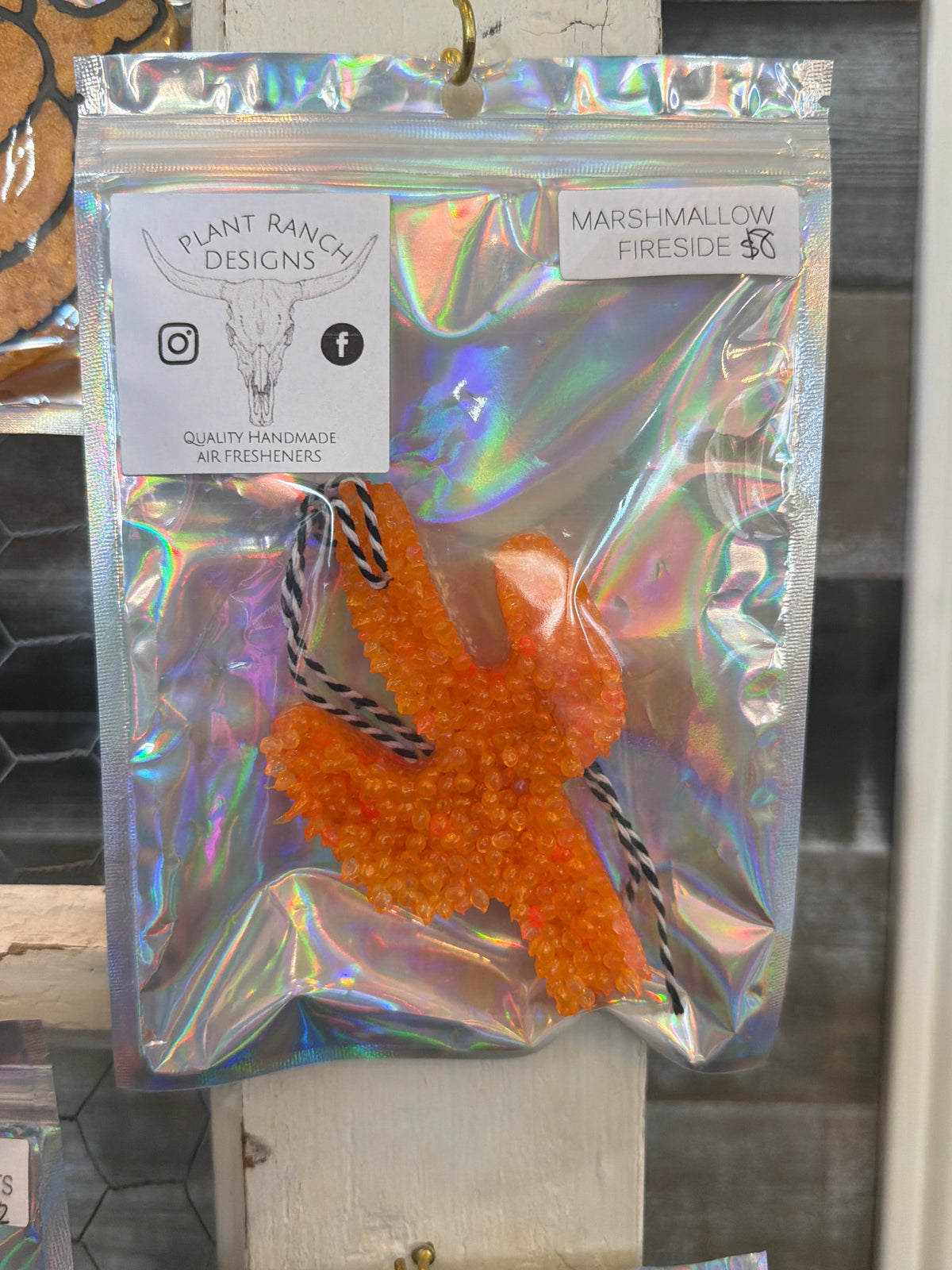 Orange Cactus- Marshmallow Fireside Scent