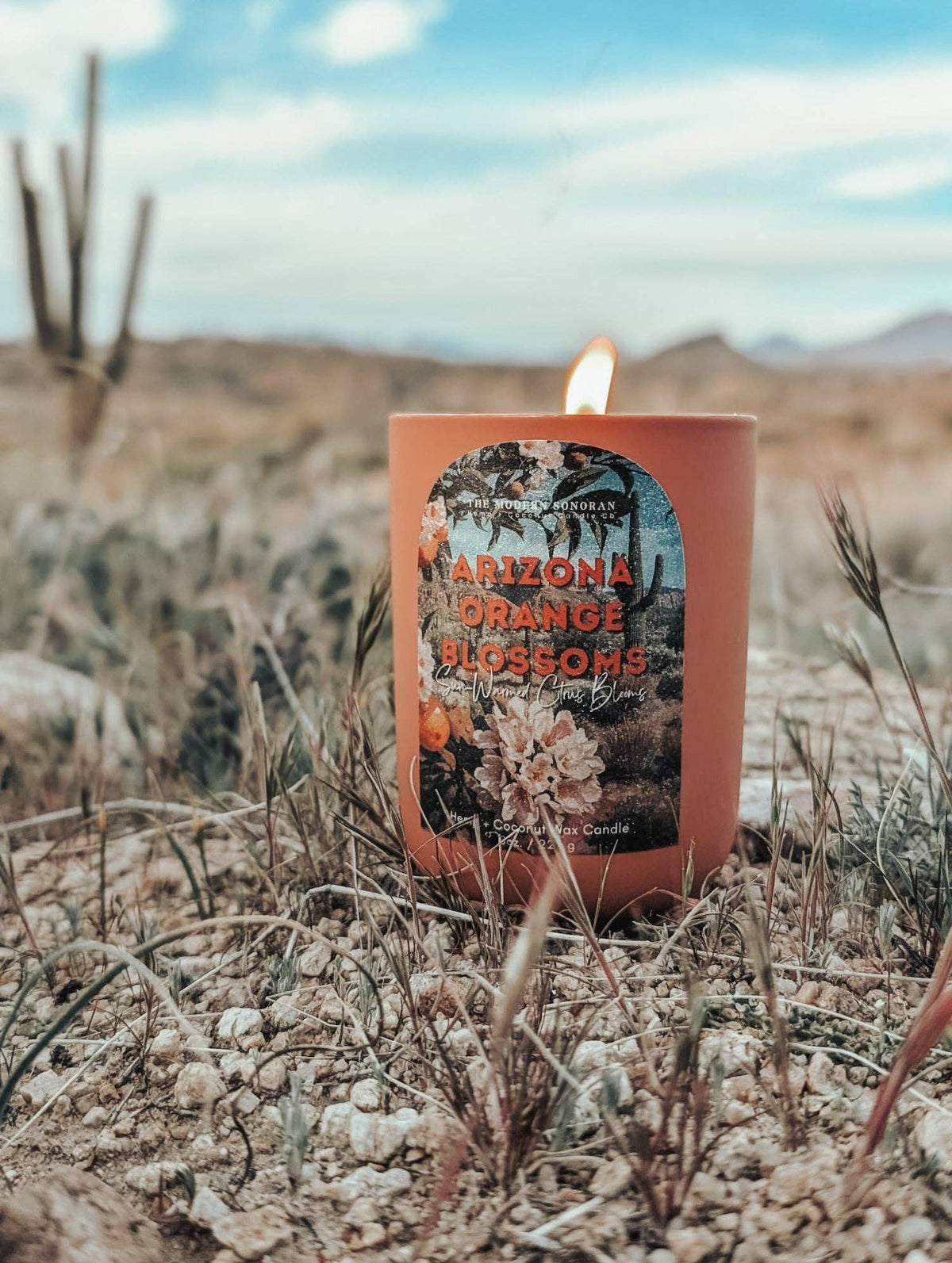 Arizona Orange Blossoms